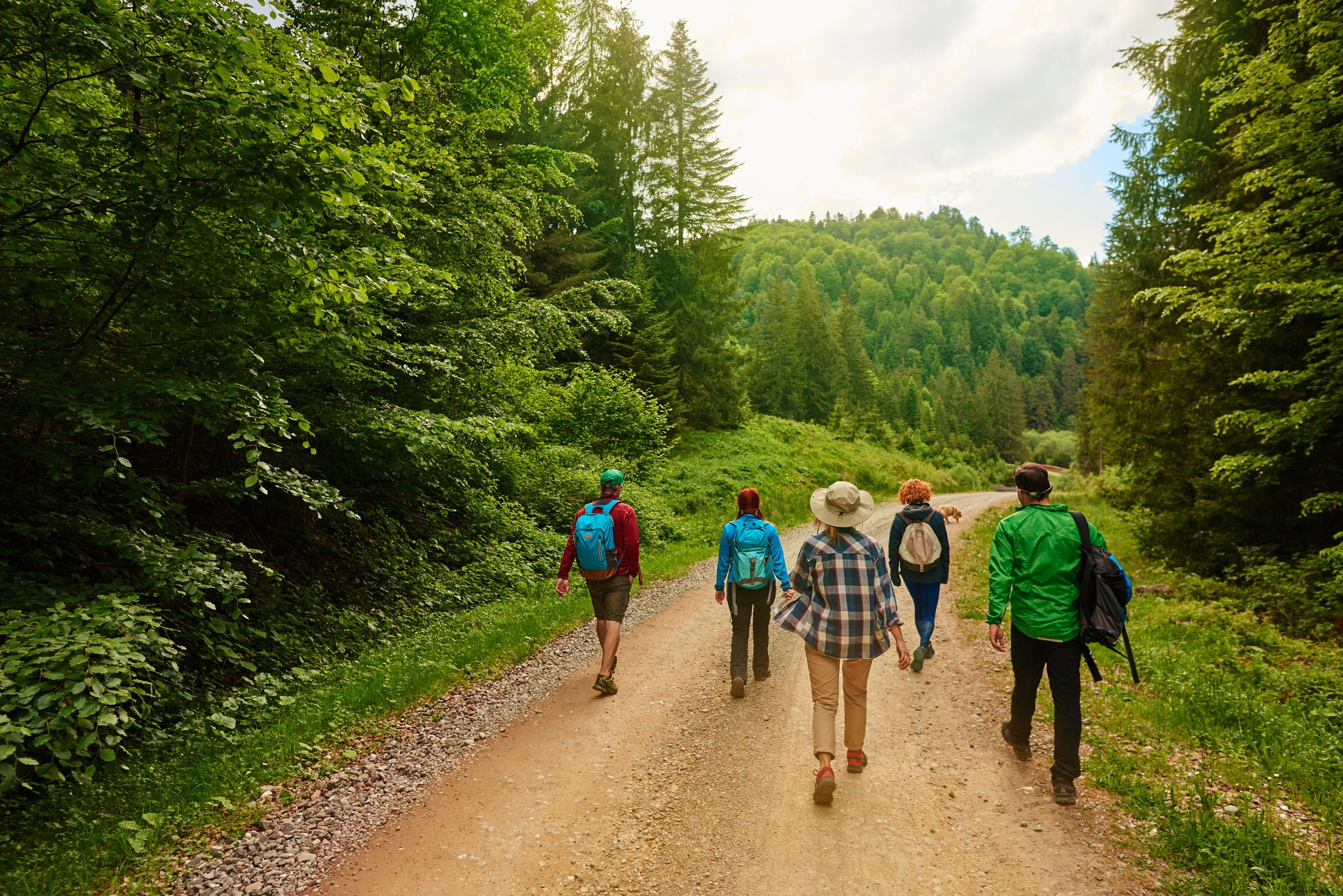 let's enjoy nature walks